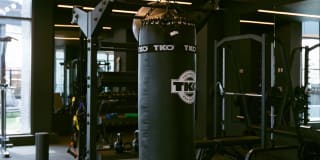 The Mitchell Gallery 18