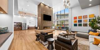 The Elinor Gallery 22