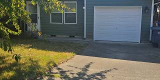 WILSON 13806 Gallery 1