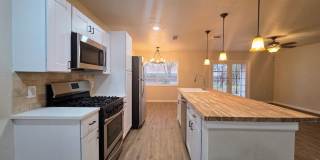 Newly Renovated NE San Antonio 3 bedroom home in established neighborhood-You do not want to miss this one! Gallery 12
