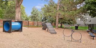 ReNEW Foothills Gallery 34