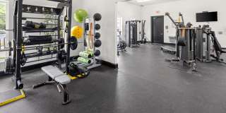 Conrad at Concord Mills Gallery 9