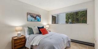 3 Bedroom 2 Bathroom Plus Parking Gallery 21