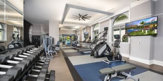 Olympus Harbour Island Gallery 17