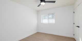 Canopy Gallery 11