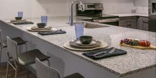 Aviva Goodyear Gallery 8