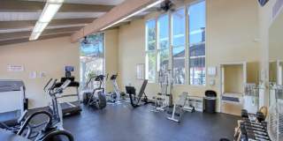 254 Sequoia Court Gallery 54