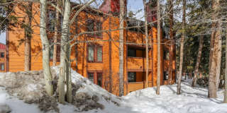 Warrior's Mark Condo! Walk to town and on the bus route! Gallery 20