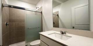 339 PUMA LOOP Gallery 30