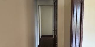 Barry - Albatross Street Gallery 13