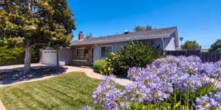 Charming West Dublin Home With an Expansive Backyard Oasis Gallery 3