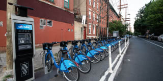 Windsor at Liberty House Gallery 33