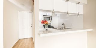 400-420 N. Oakland Ave. Gallery 3