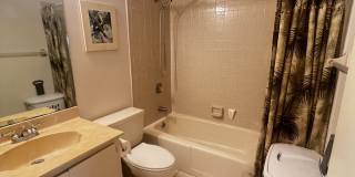 1754 Cape Coral Parkway East Gallery 10