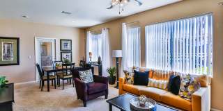 Boulders at Lone Mountain Gallery 15