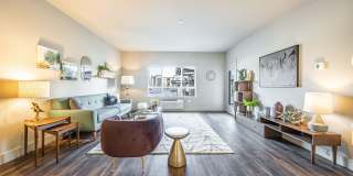 The McKenzie Gallery 12