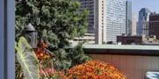 6 Edgerly Pl Gallery 8