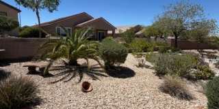 Gorgeous 2Bdrm 2 bath home in Sun City Anthem Gallery 22