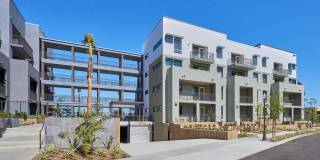 The Willows Gallery 8