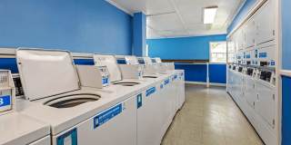 Bradford Lake Gallery 8