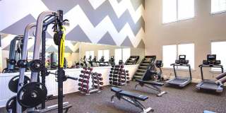 222 Amber Acorn Avenue Gallery 25