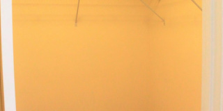 23514 GARDENSIDE Place Gallery 20