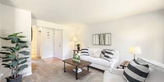 Rainier Pointe Gallery 14