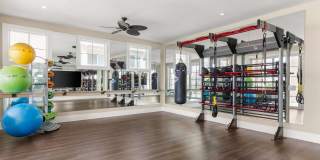 Oceanside Lantana Gallery 18