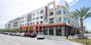 The Avalyn Gallery 50