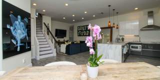 ** LUXURY MODERN ZEN RETREAT IN NAPLES PARK ** WALK TO THE BEACH **   4BR/4BA PRIVATE POOL & SPA FULLY REMODELED ** MERCATO **OFFERED FURNISHED SEASONALLY, WEEKLY OR ANNUALLY ** NO HOA PROCESS SO MOVE IN TODAY ** READY FOR A TENANT ** Gallery 37