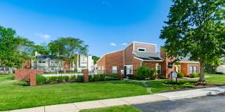 The Berryessa Gallery 43