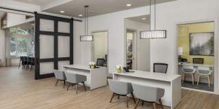 Prose Horizon Village Gallery 20