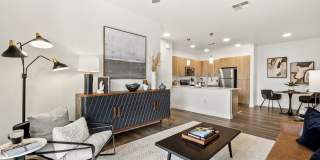 Amavida Marana Gallery 16