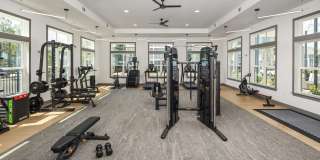 The Dorsey by Alta Gallery 23