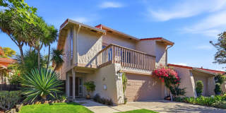 Remodeled Rinconada Hills 3BD + Loft | Pool Steps Away | Top Schools Gallery 1