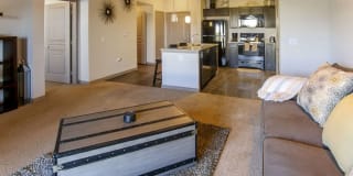 Anatole on Briarwood Gallery 16