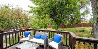 3709 Avenida Palo Verde Gallery 26