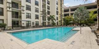 Lantower Westshore Gallery 19