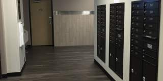 21 Orange Gallery 38