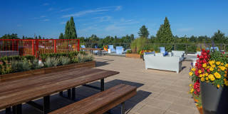 The Wilmore Gallery 5