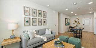 Birchway Spring Cypress Gallery 6