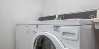 The Wellshire Gallery 35