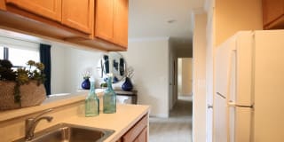 Columbia View Gallery 2