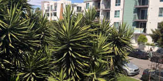 FOR RENT — COMPLETELY REMODELED Apartment Gallery 63
