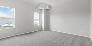 2434 Dry Moss Gallery 22
