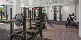 Aura Uptown Gallery 21