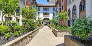 Renaissance Square Gallery 4