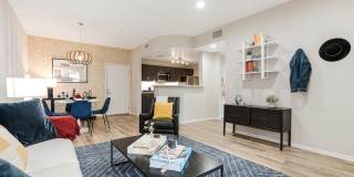 Serenade at Riverpark Gallery 28