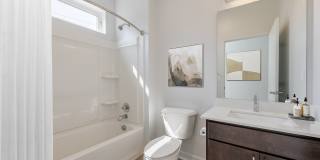 Pinnex Gallery 5