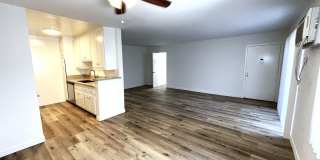 10908 Rose Gallery 6